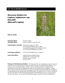 Recovery Outline for Lupinus Sulphureus Ssp. Kincaidii (Kincaid's
