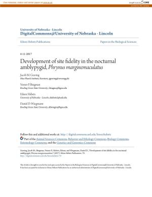 Development of Site Fidelity in the Nocturnal Amblypygid, &lt;I&gt;Phrynus