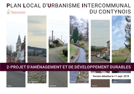 Plan Local D'urbanisme Intercommunal Du Contynois
