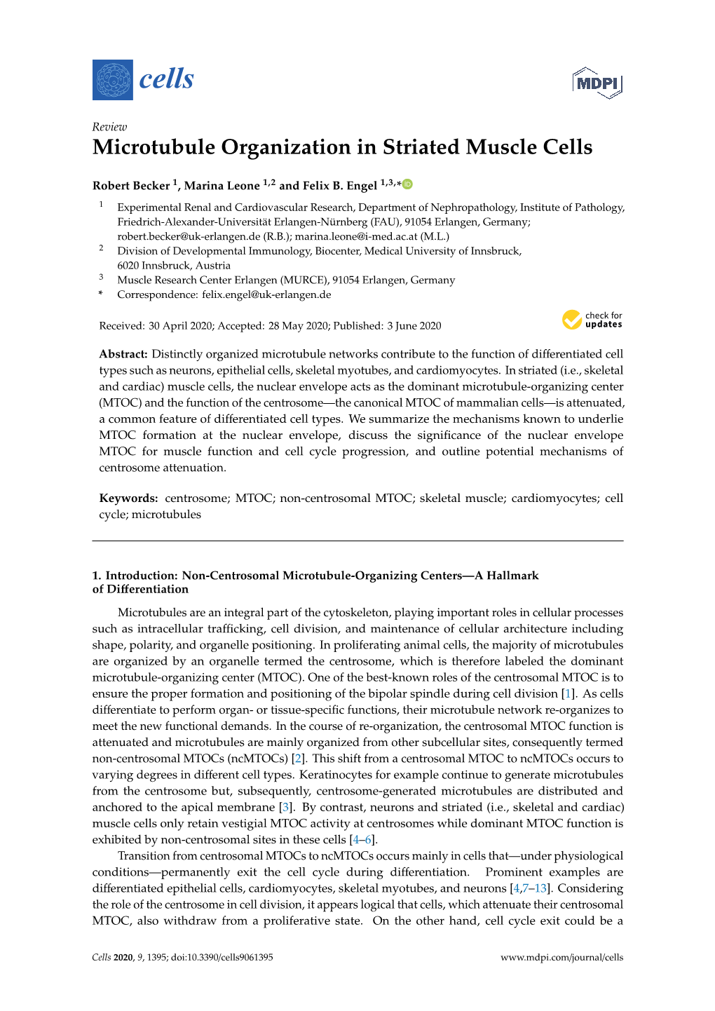 Microtubule Organization in Striated Muscle Cells