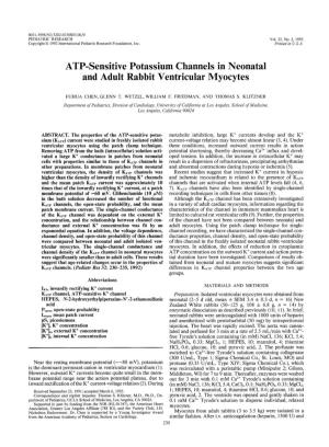 ATP-Sensitive Potassium Channels in Neonatal and Adult Rabbit Ventricular Myocytes