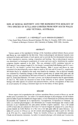 Size at Sexual Maturity and the Reproductive Biology of Two Species of Scyllarid Lobster from New South Wales and Victoria, Australia