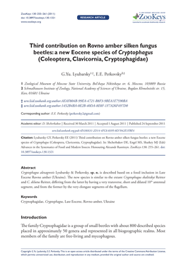 A New Eocene Species of Cryptophagus (Coleoptera, Clavicornia, Cryptophagidae)