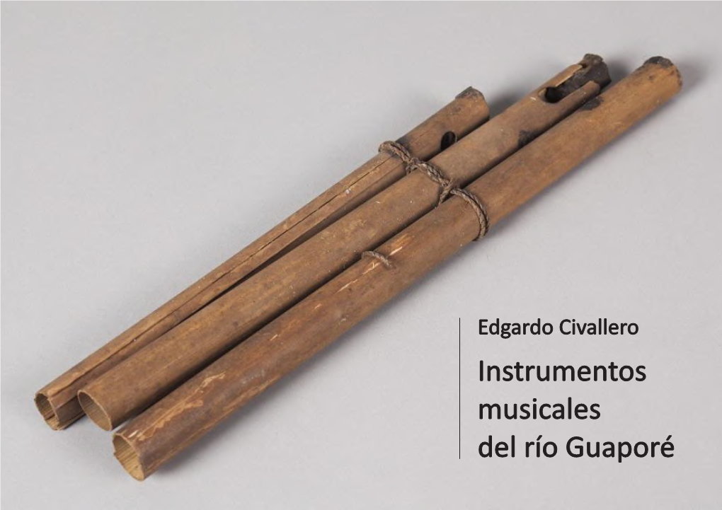 Instrumentos Musicales Del Río Guaporé.Cdr