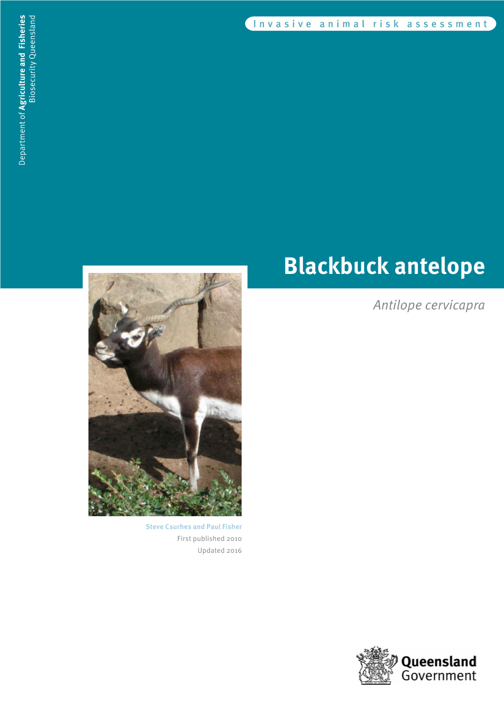 Blackbuck Antelope Antilope Cervicapra © State of Queensland, 2016