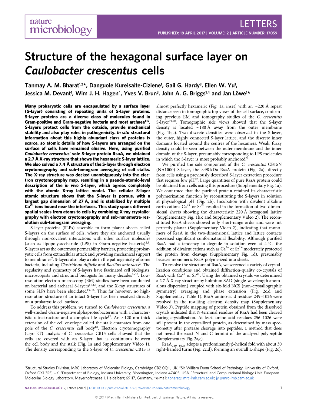 Structure of the Hexagonal Surface Layer on Caulobacter Crescentus Cells Tanmay A