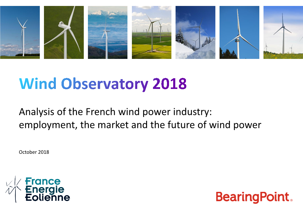 Analysis of the French Wind Power Industry: Employment, the Market and the Future of Wind Power