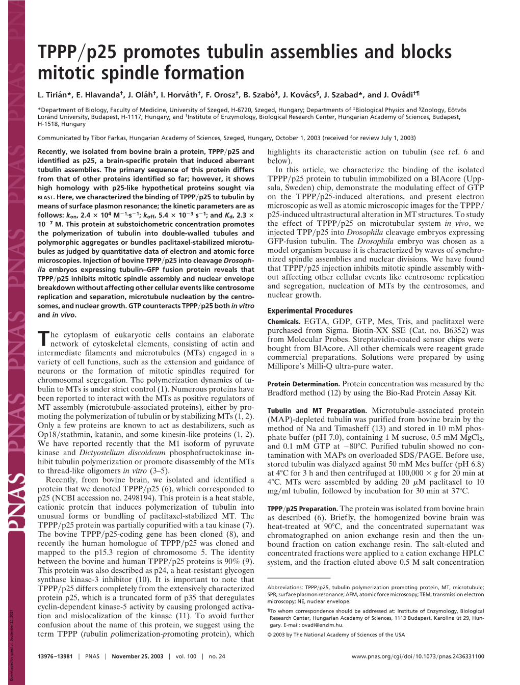 TPPP P25 Promotes Tubulin Assemblies and Blocks Mitotic