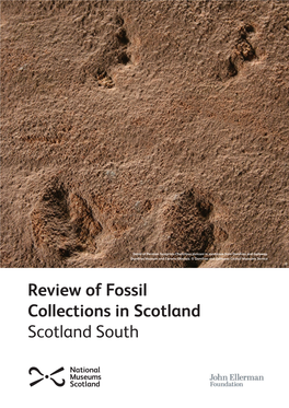 Review of Fossil Collections in Scotland Scotland South Scotland South