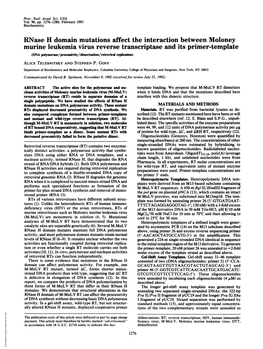 Murine Leukemia Virus Reverse Transcriptase and Its Primer-Template (DNA Polymerase/Processivity/Dimerizalon/Retrovfrai Replicadon) ALICE TELESNITSKY and STEPHEN P