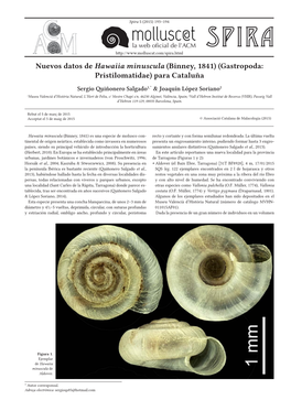 Nuevos Datos De Hawaiia Minuscula (Binney, 1841) (Gastropoda