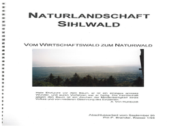 Naturlandschaft Sihlwald Ist Nach Neun Monaten Vorarbeit Ende Juni Gegründet Worden