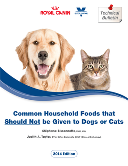 Common Household Foods That Should Not Be Given to Dogs Or Cats