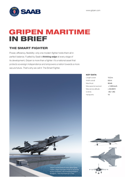 Gripen Maritime in Brief