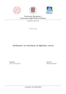 Arithmetic on Jacobians of Algebraic Curves