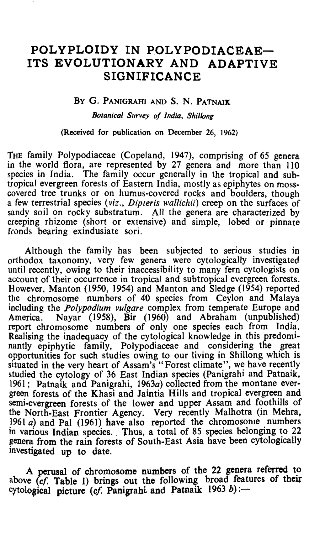 Polyploidy in Polypodiaceae— Its Evolutionary and Adaptive Significance