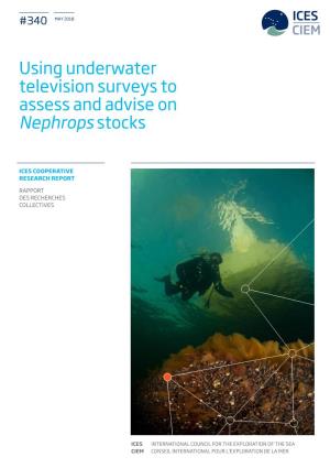 Using UWTV Surveys to Assess and Advise on Nephrops Stocks | I