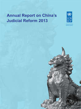 2013 Annual Report on China's Judicial Reform