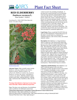 RED ELDERBERRY Provides Fair to Good Food and Cover for Birds Plus Small and Large Mammals