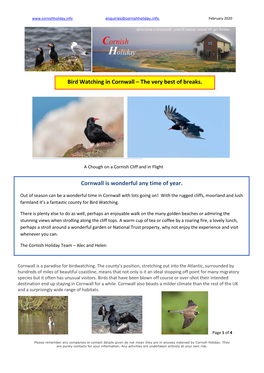 Birdwatching Newsletter