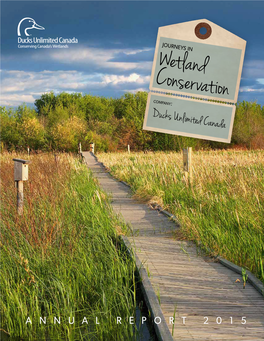 Wetland Conservation