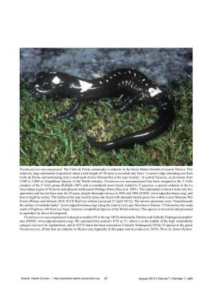 Pseudoeurycea Naucampatepetl. the Cofre De Perote Salamander Is Endemic to the Sierra Madre Oriental of Eastern Mexico. This