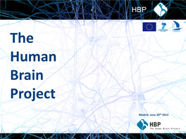 The Human Brain Project