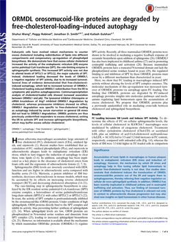 ORMDL Orosomucoid-Like Proteins Are Degraded by Free-Cholesterol-Loading–Induced Autophagy