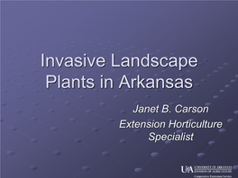 Invasive Landscape Plants in Arkansas