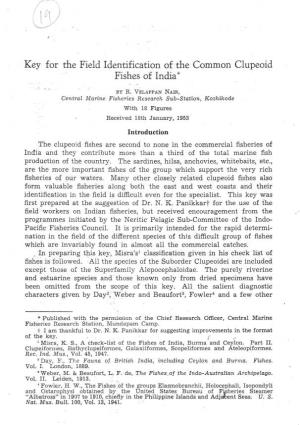 Key for the Field Identification of the Common Clupeoid Fishes of India *