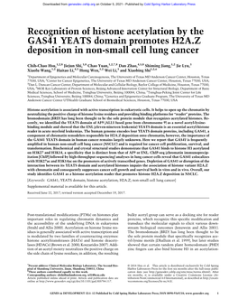 Recognition of Histone Acetylation by the GAS41 YEATS Domain Promotes H2A.Z Deposition in Non-Small Cell Lung Cancer