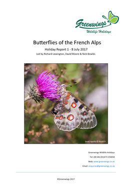 Butterflies of the French Alps Holiday Report 2017