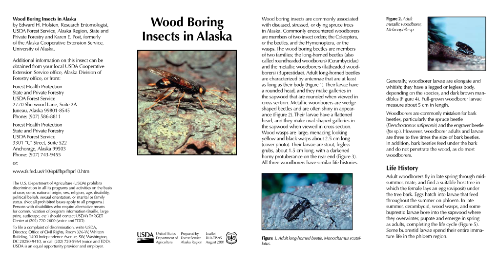 Wood Boring Insects in Alaska Wood Boring Insects Are Commonly Associated Figure 2