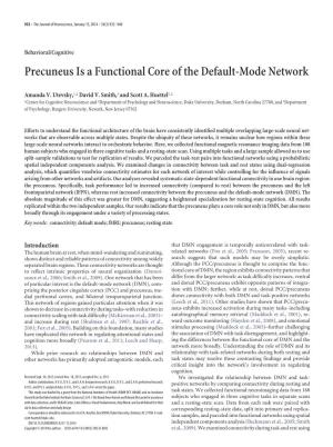 Precuneus Is a Functional Core of the Default-Mode Network