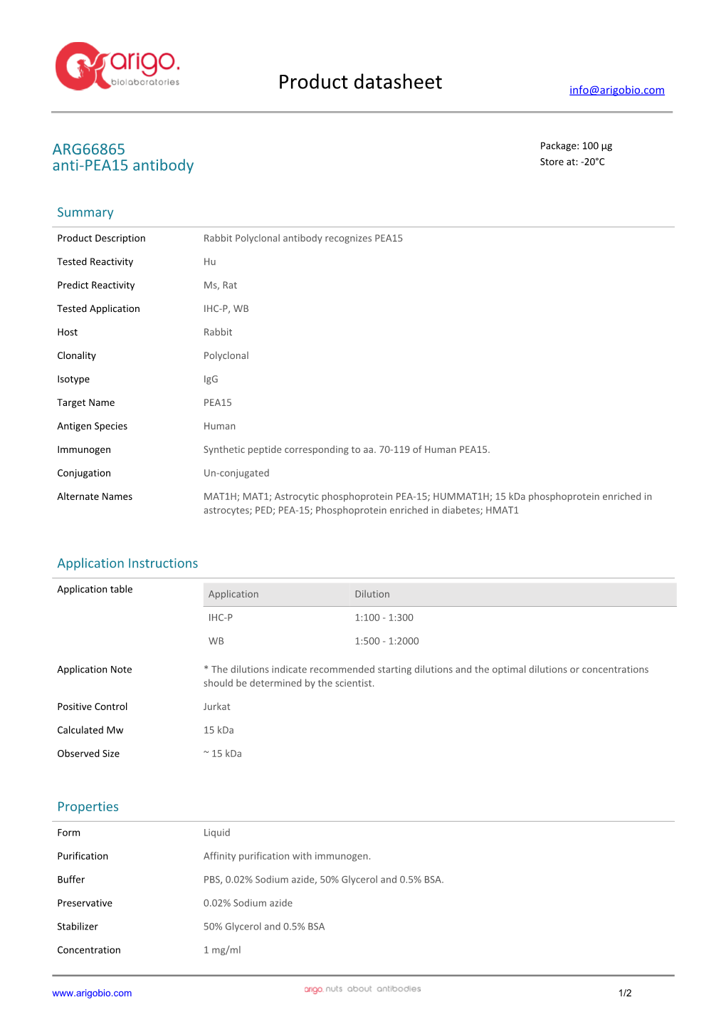 Anti-PEA15 Antibody (ARG66865)