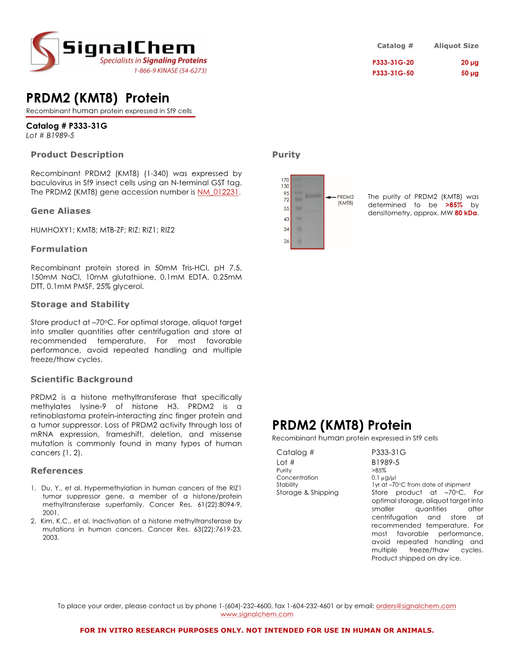 PRDM2 (KMT8) Protein Recombinant Human Protein Expressed in Sf9 Cells