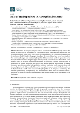 Role of Hydrophobins in Aspergillus Fumigatus