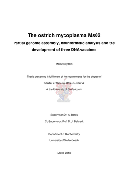 The Ostrich Mycoplasma Ms02 Partial Genome Assembly, Bioinformatic Analysis and the Development of Three DNA Vaccines