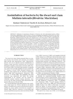 Assimilation of Bacteria by the Dwarf Surf Clam Mulinia Lateralis (Bivalvia: Mactridae)