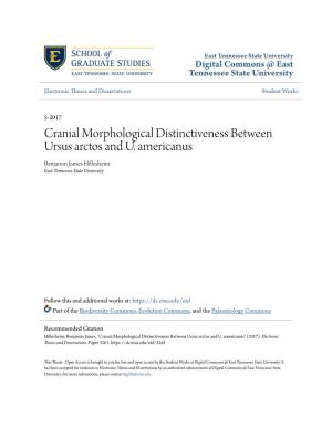 Cranial Morphological Distinctiveness Between Ursus Arctos and U
