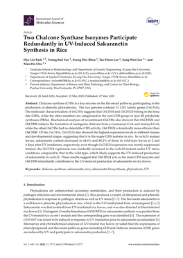 Two Chalcone Synthase Isozymes Participate Redundantly in UV-Induced Sakuranetin Synthesis in Rice