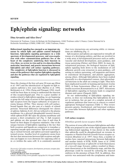 Eph/Ephrin Signaling: Networks