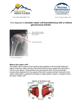 Your Diagnosis Is Shoulder Rotator Cuff Tears/Deficiency with Or Without Glenohumeral Arthritis