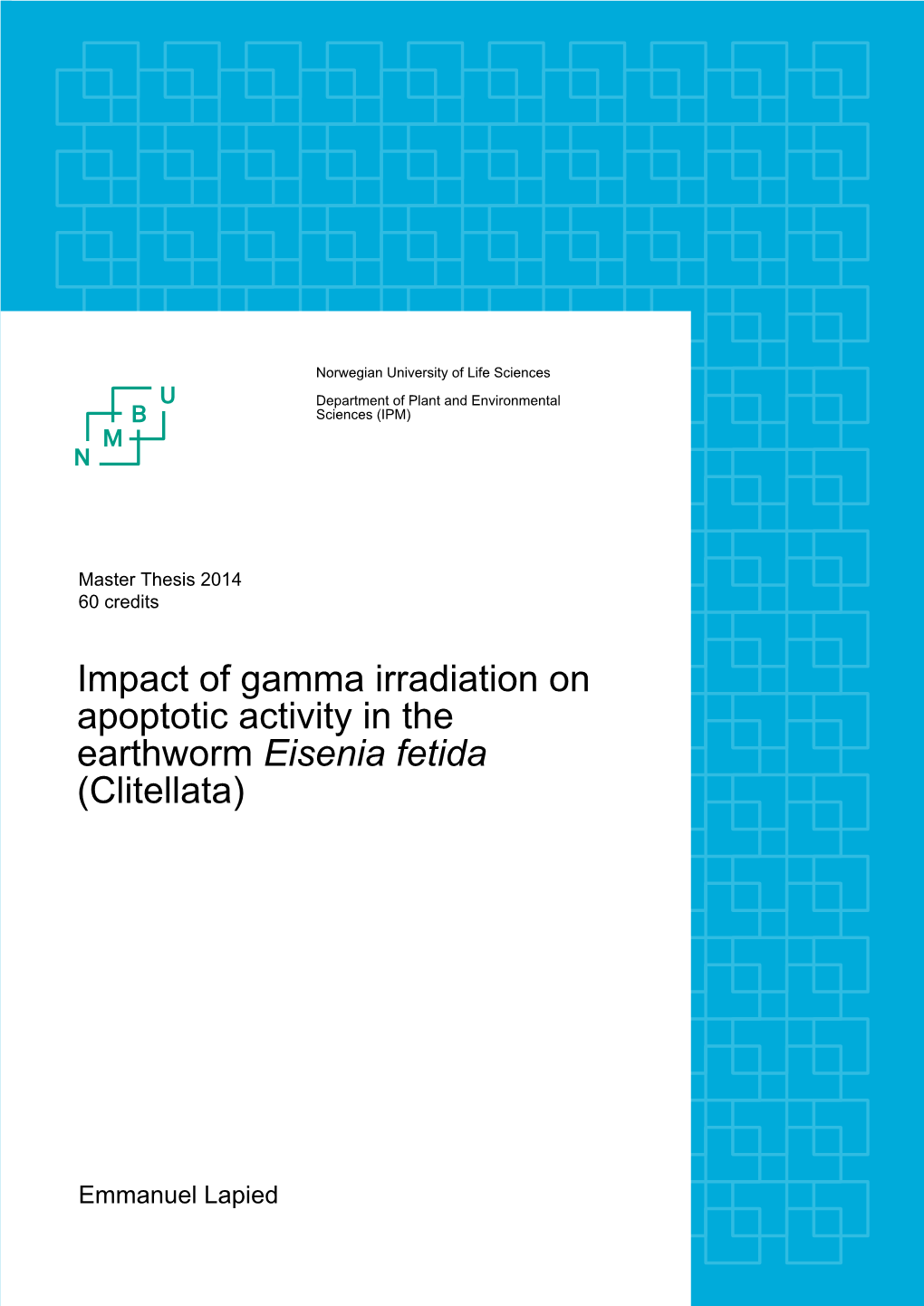 Impact of Gamma Irradiation on Apoptotic Activity In
