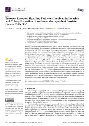 Estrogen Receptor Signaling Pathways Involved in Invasion and Colony Formation of Androgen-Independent Prostate Cancer Cells PC-3
