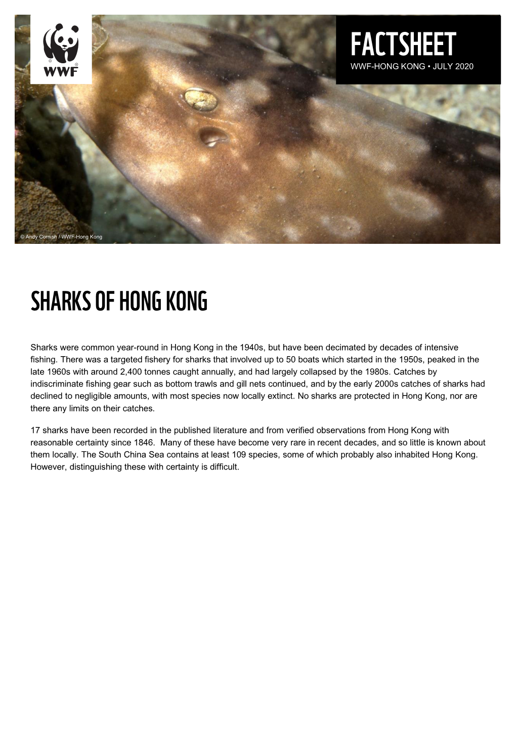 Sharks of Hong Kong