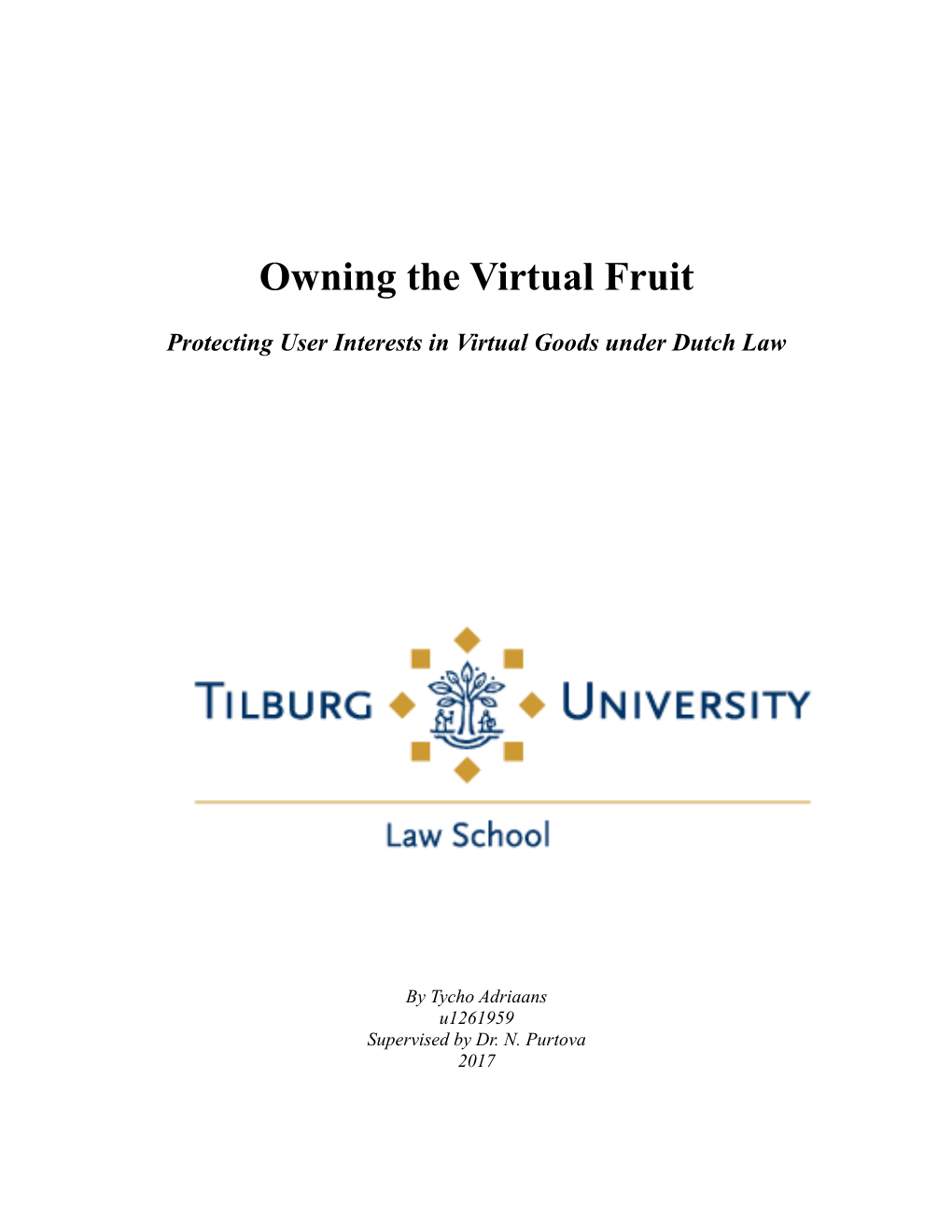 Protecting User Interests in Virtual Goods Under Dutch Law