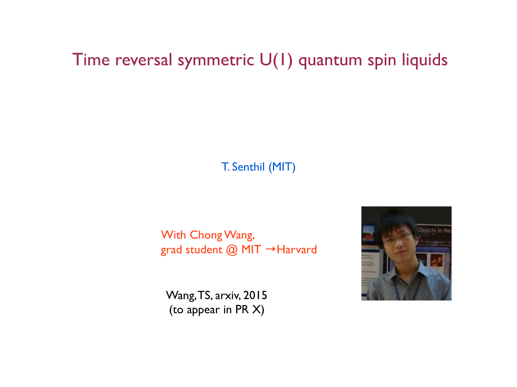 Quantum Spin Liquids