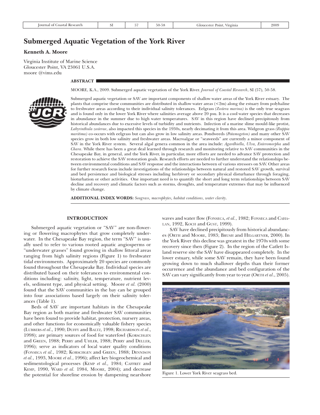 Submerged Aquatic Vegetation of the York River Kenneth A