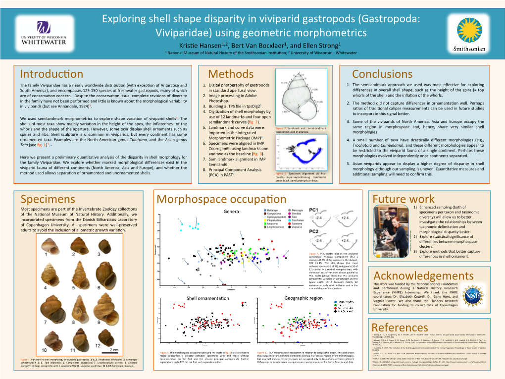 (Gastropoda: Viviparidae) Using Geometric Morphometrics